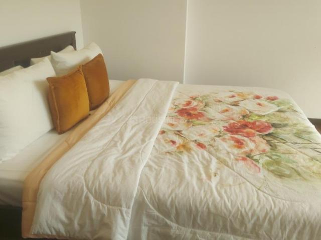 2.5 BHK Apartment in Gahunje for rent Pune. The reference number is 21028811
