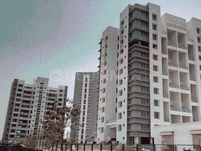 2.5 BHK Apartment in Kharadi for rent Pune. The reference number is 21077727