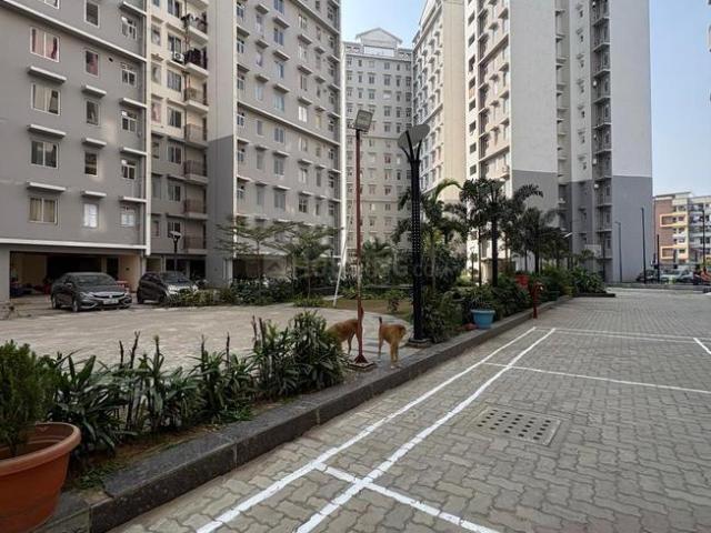 2.5 BHK Apartment in Morabadi for rent Ranchi. The reference number is 19476100
