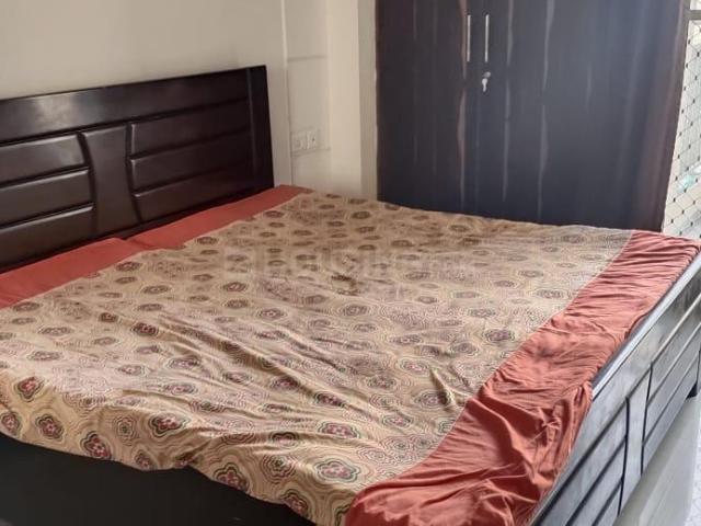 2.5 BHK Apartment in Phase 2 for rent Noida. The reference number is 21072534