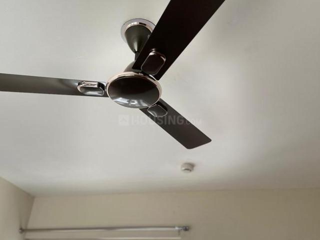 2.5 BHK Apartment in Sector 110 for rent Noida. The reference number is 20364980