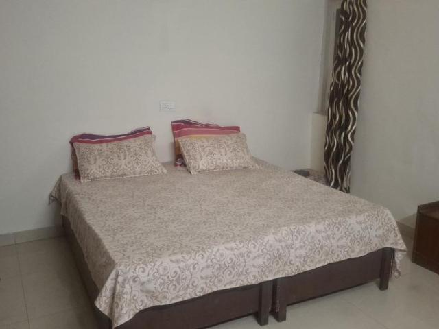2.5 BHK Apartment in Sector 37 for rent Noida. The reference number is 20966539