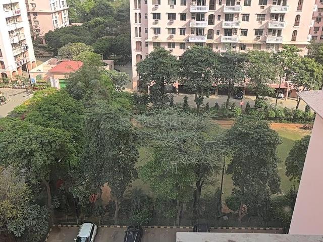 2.5 BHK Apartment in Sector 53 for rent Gurgaon. The reference number is 19757158