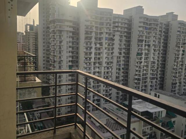 2.5 BHK Apartment in Sector 74 for rent Noida. The reference number is 20586589