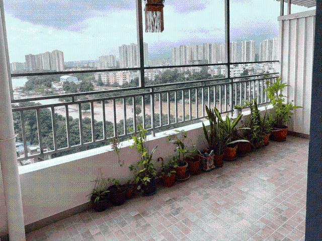 2.5 BHK Apartment in Shivane for rent Pune. The reference number is 20866779