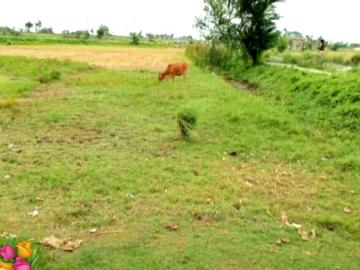 2.5 BHK Farm House in Bandel for resale Hooghly. The reference number is 20232547