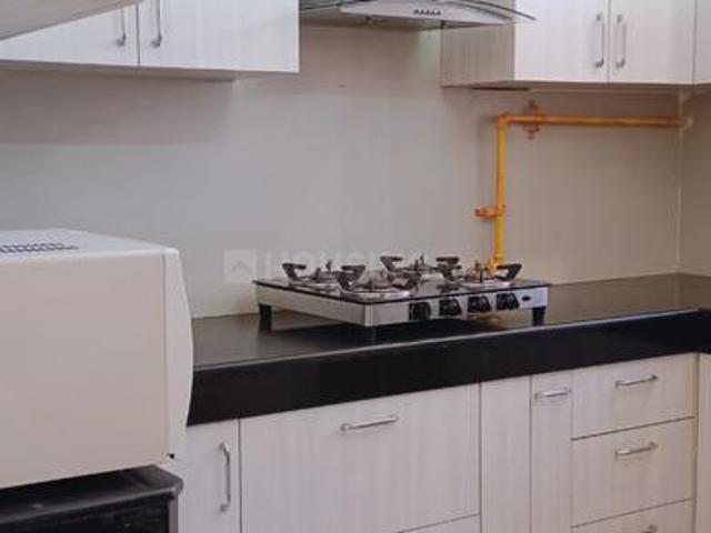 2.5 BHK Independent Builder Floor in Sector 14 for rent Gurgaon. The reference number is 19928864