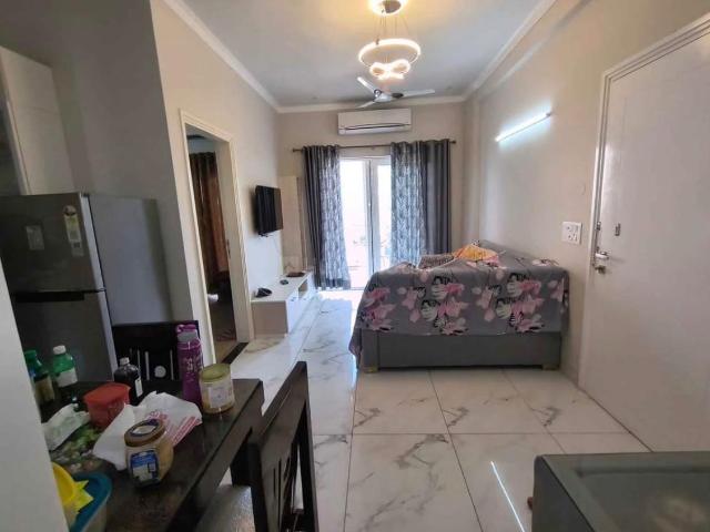 2.5 BHK Independent Builder Floor in Sector 33 for rent Sohna. The reference number is 19973501