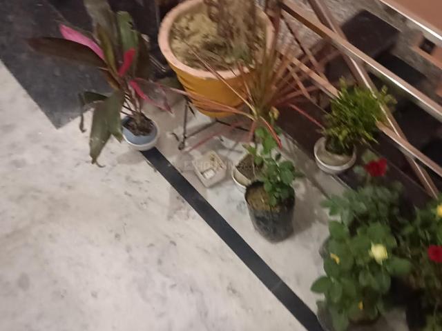 2.5 BHK Independent House in Rajajipuram for rent Lucknow. The reference number is 20386753