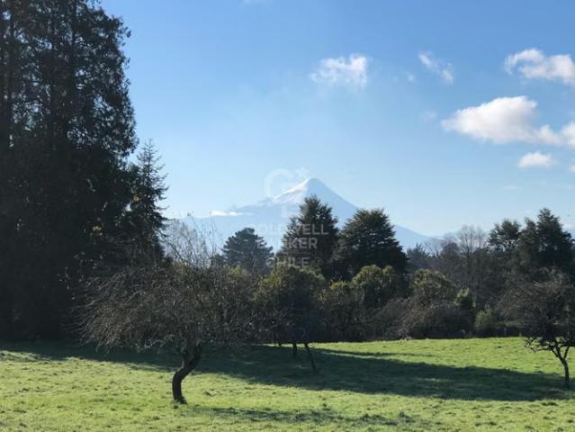 2.5 ha con gran vista y 120 m de frente a Línea Nueva | 0 dormitorios por 19990.00 en Puerto Varas