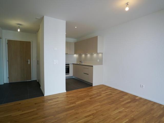 2.5 Room apartment