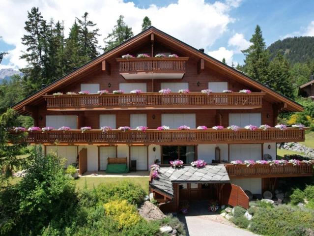 PLANS MAYENS Charmante 2.5 Zimmerwohnung in der Nähe der Skipisten