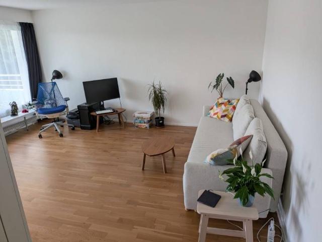 2.5 room apartment at the edge of nature in Adliswil