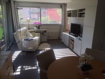 2.5 room apartment for rent with lake view