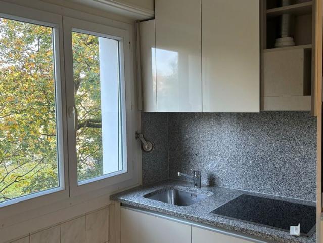 2.5 room apartment with balcony