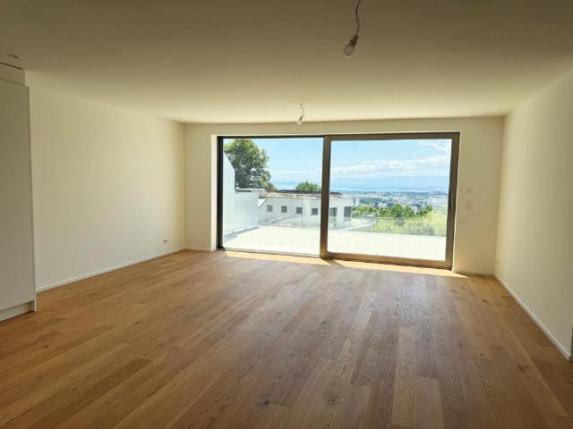 2.5 rooms in penthouse with large terrace and lake view
