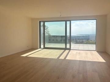 2.5 rooms in penthouse with large terrace and lake view