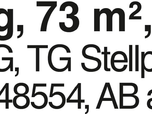 2,5 Zi. Wohnung