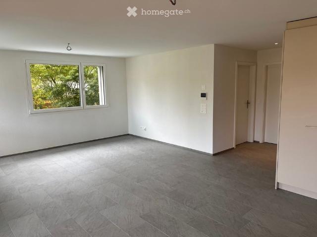 2.5 Zi. Wohnung in Holzbau Wohlfühlhaus an zentraler Lage in Binningen