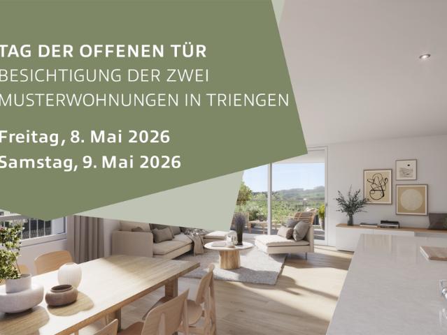 2.5 Zi Wohnung Murhubel Triengen