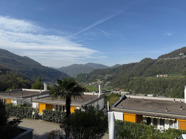 2.5 Zimmer Wohnung mit GROSSER TERRASSE !