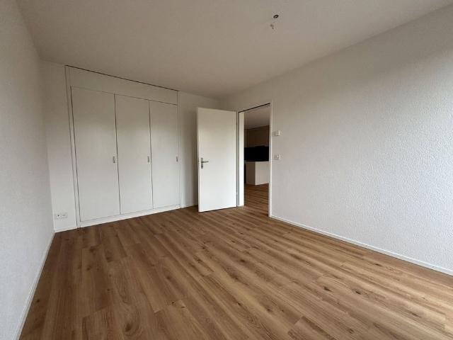 2.5 Zimmer, EG