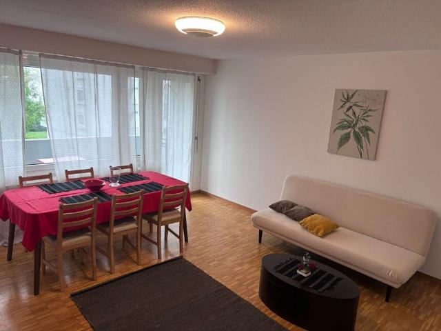 2.5 Zimmer Fully Furnished Apartment in Dübendorf Zone 121