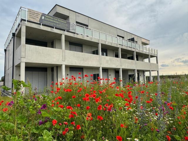2,5 Zimmer Gartenwohnung nahe historischen Stadtzentrum
