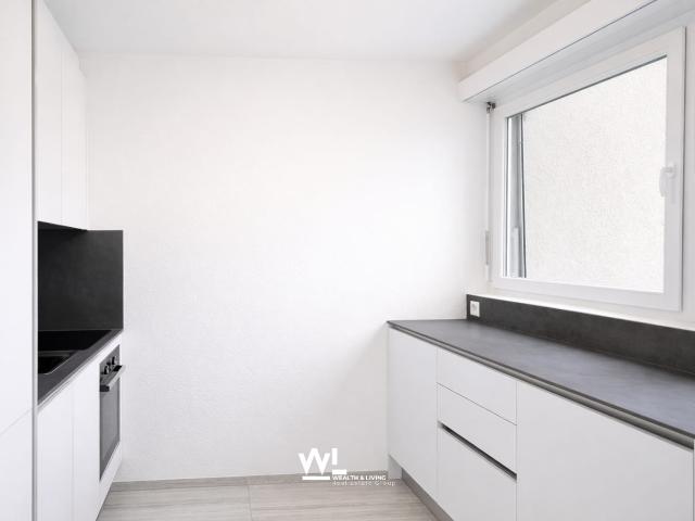 2.5 Zimmer Wohnung, frisch renoviert, zentral in Losone
