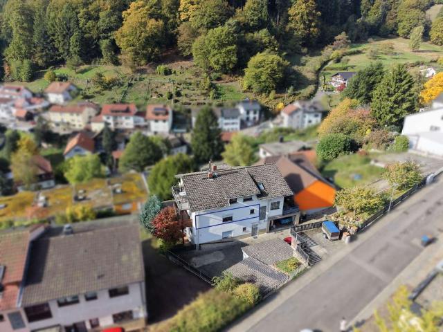 2,5 Zimmer Wohnung in Ziegelhausen im Erstbezug nach Sanierung