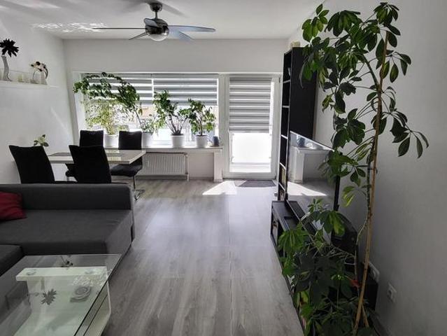 2,5 Zimmer Wohnung mit Balkon & Aufzug – Blick auf die Wallanlage