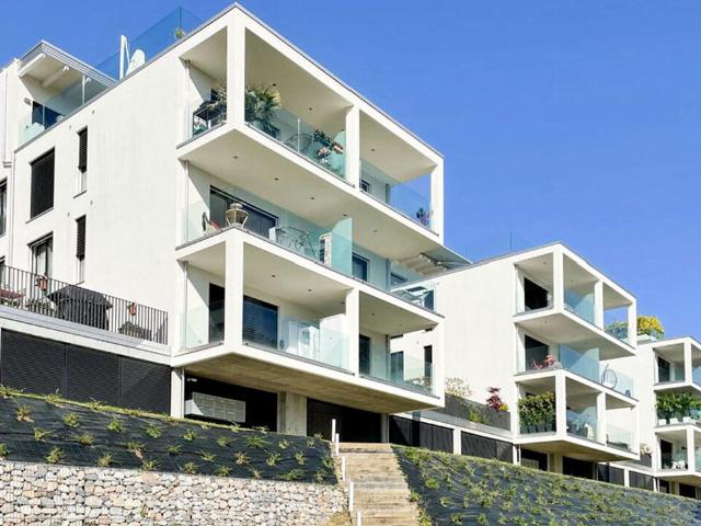 2,5 Zimmer Wohnung mit grosser Terrasse