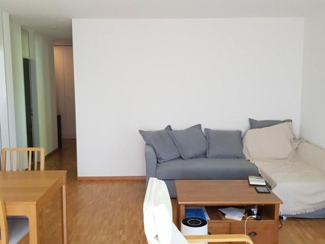 2.5 Zimmer Wohnung zu vermieten im Haus zur Drachenmühle