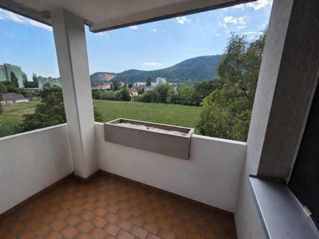 2.5 Zimmer Wohnung zu vermieten!