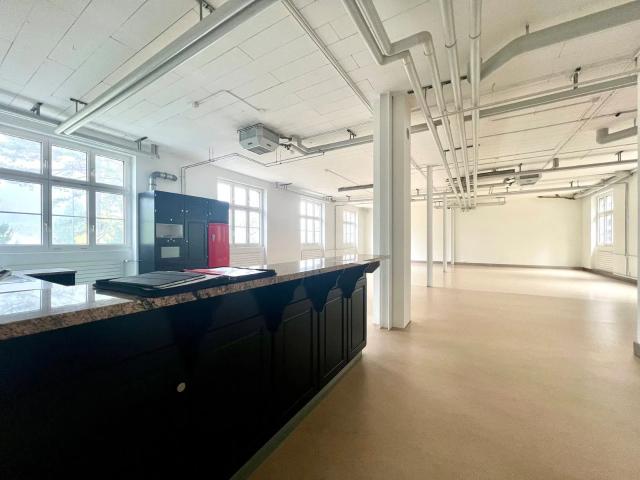 2.5 Zimmer, 180 m², EG