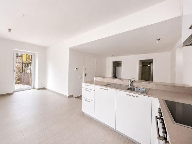 2.5 Zimmer, 100 m²