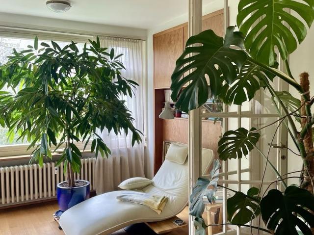 2.5 Zimmer, 100 m², 1. Stock