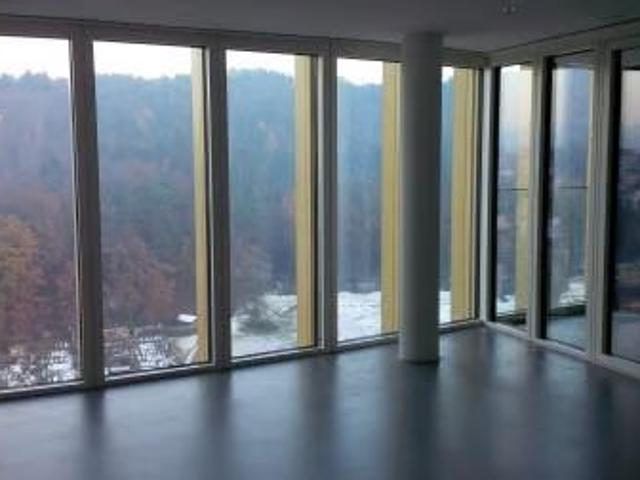 2.5 Zimmer, 46 m², 13. Stock