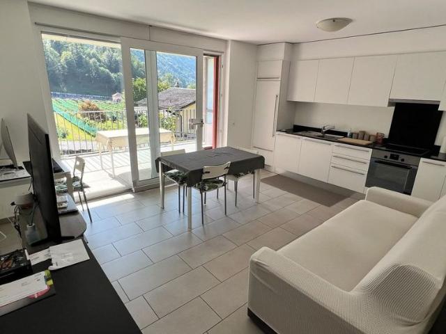 2.5 Zimmer, 46 m²