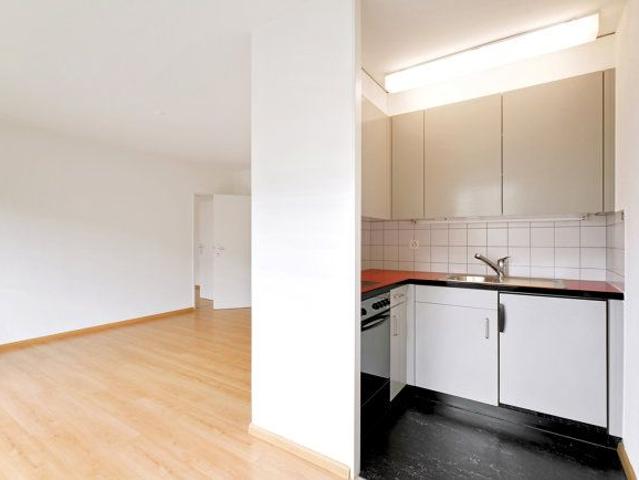 2.5 Zimmer, 47 m², EG
