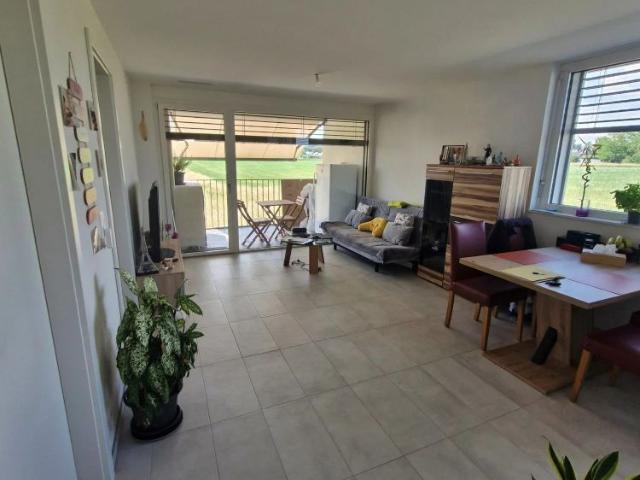 2.5 Zimmer, 49 m², 1. Stock