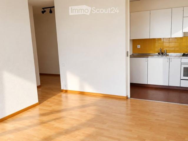 2.5 Zimmer, 49 m²