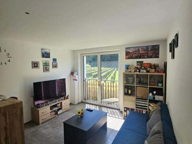 2.5 Zimmer, 49 m²