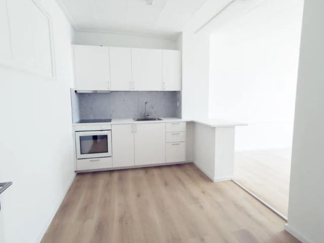 2.5 Zimmer, 42 m²