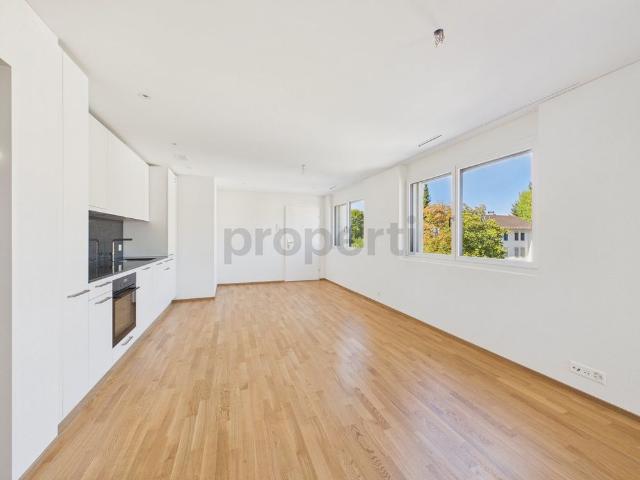 2.5 Zimmer, 54 m², 3. Stock