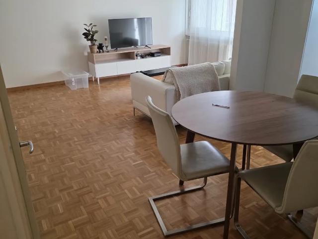 2.5 Zimmer, 54 m², EG