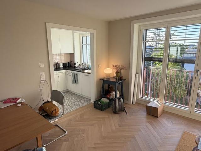 2.5 Zimmer, 55 m², 3. Stock