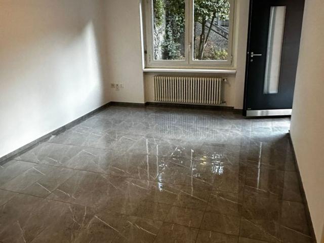 2.5 Zimmer, 55 m²