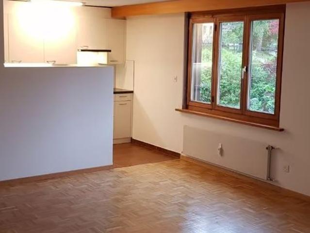 2.5 Zimmer, 55 m²