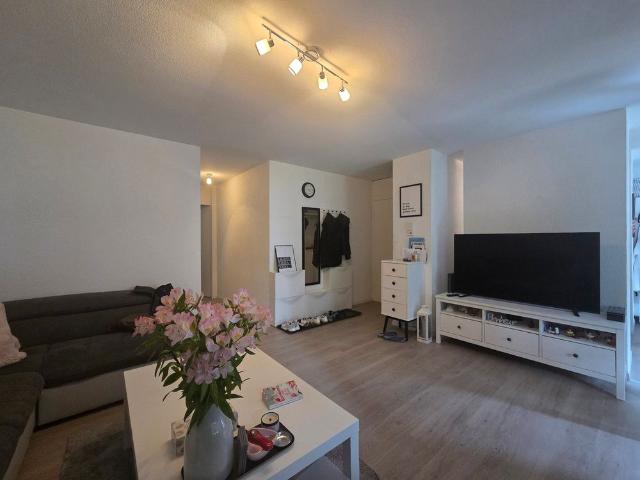 2.5 Zimmer, 55 m², EG